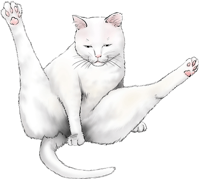 新井理恵 Vol.1／2012年9月13日