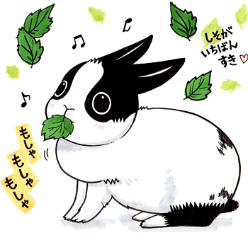 まめもやし Vol.20／2012年11月13日